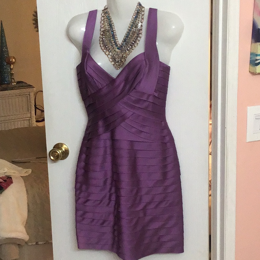 Bcbgmaxazria Dress Purple 04 Nwot Layered Look.
